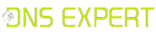 DNS Experts Logo